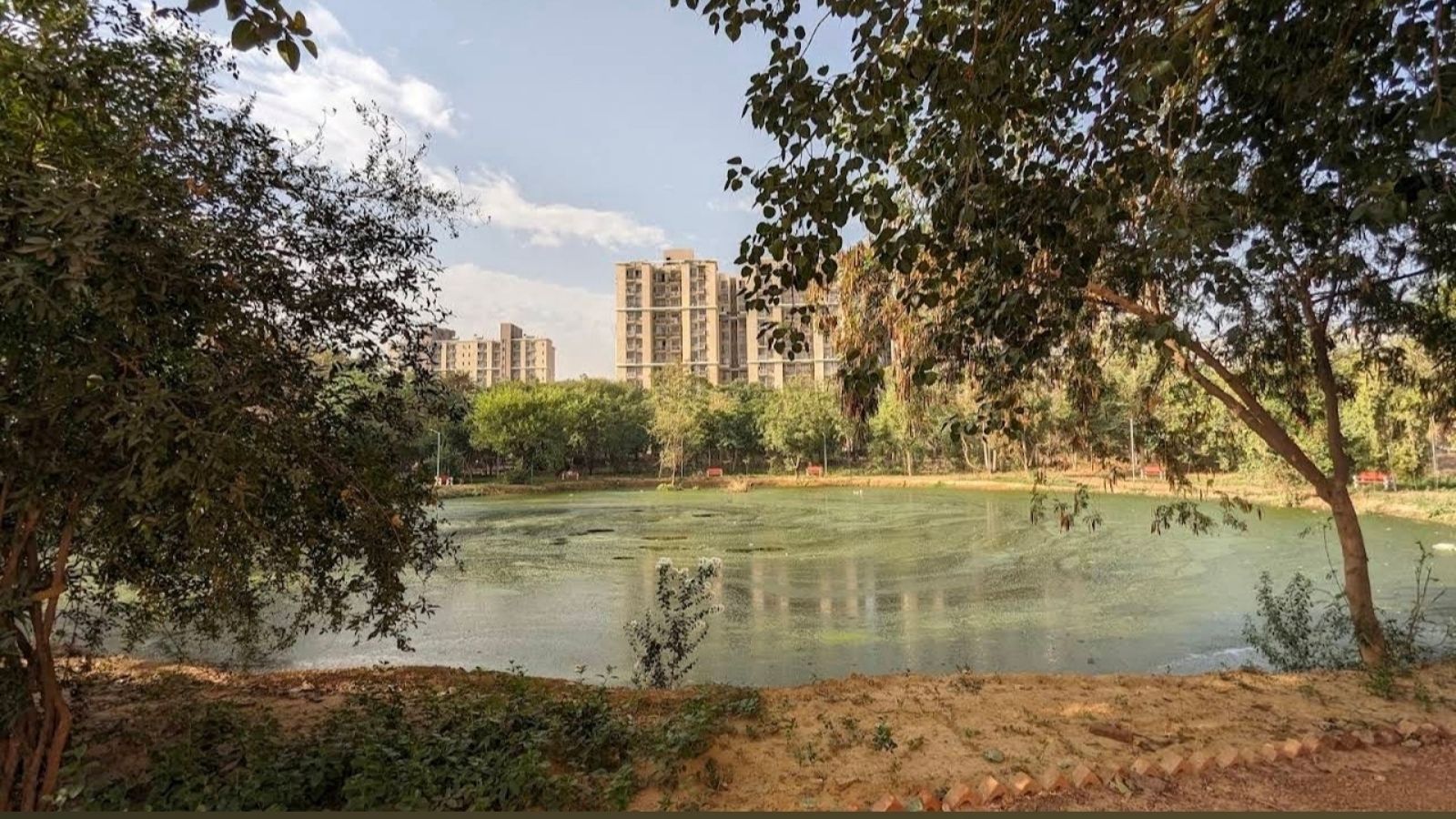 Gurgaon man fought to save dying pond for 3 years, NGT steps in