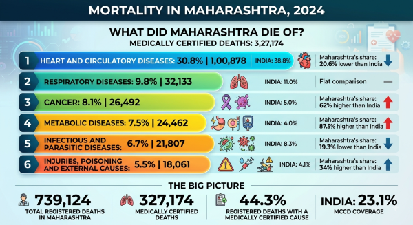 Maharashtra's 2024 Mortality Data