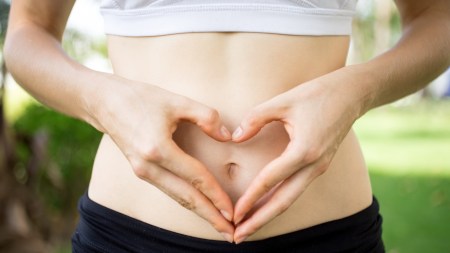 gut microbiome