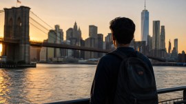 H-1B lottery rejection