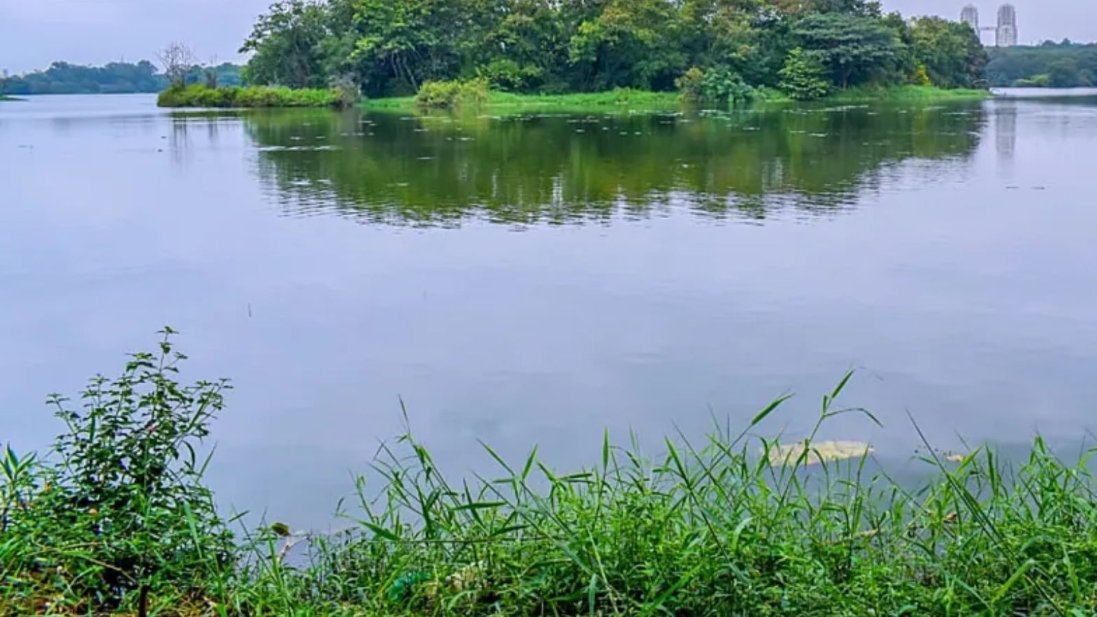 Hebbal Tunnel project: Karnataka High Court warns of stay over lake impact