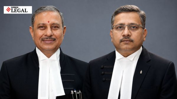 Justices D K Singh and T M Nadaf karnataka high court child custody