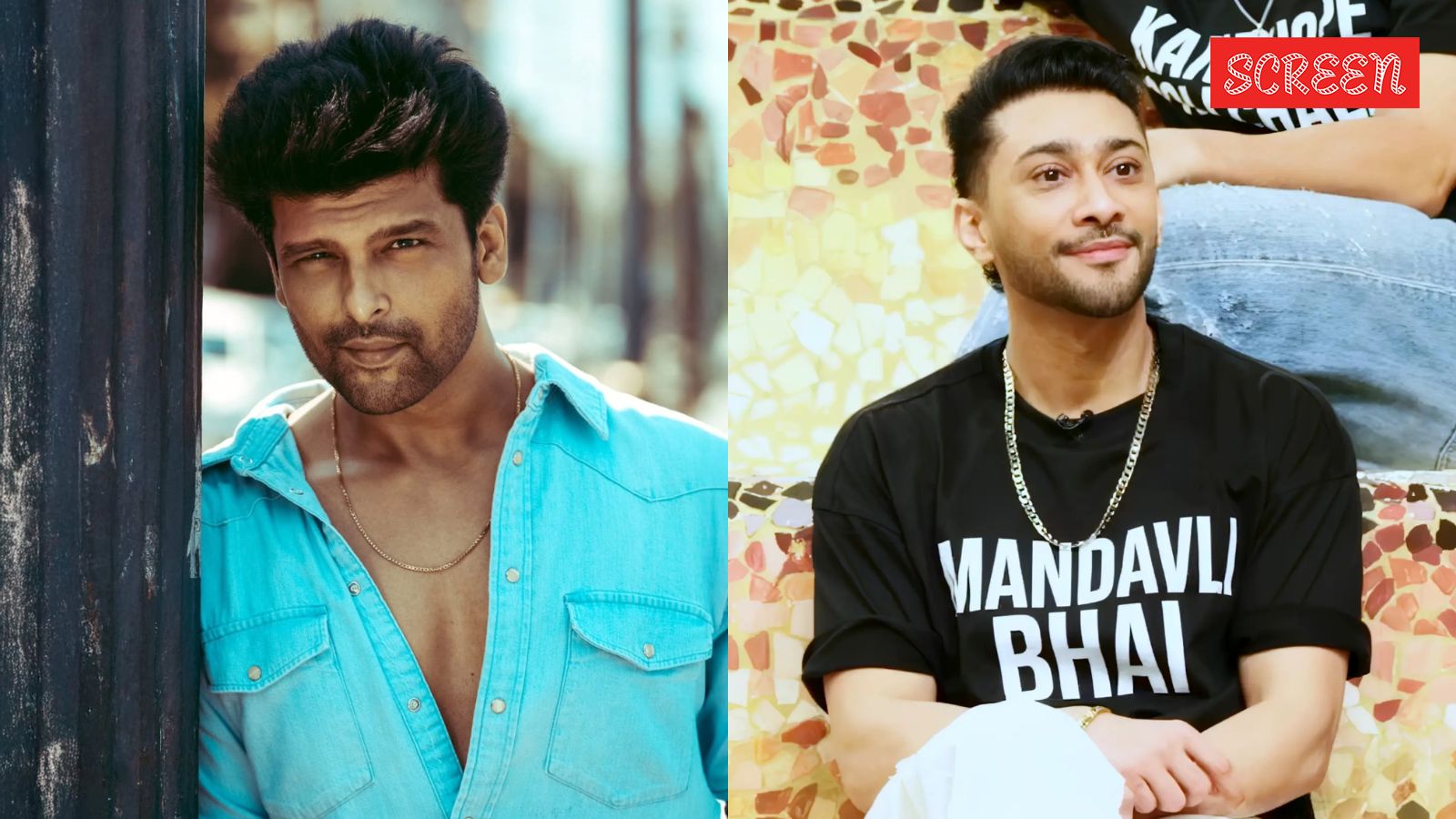 Alliance: Kushal Tandon evicts Zaid Darbar to become semi-finalist, Sohail Khan eliminated
