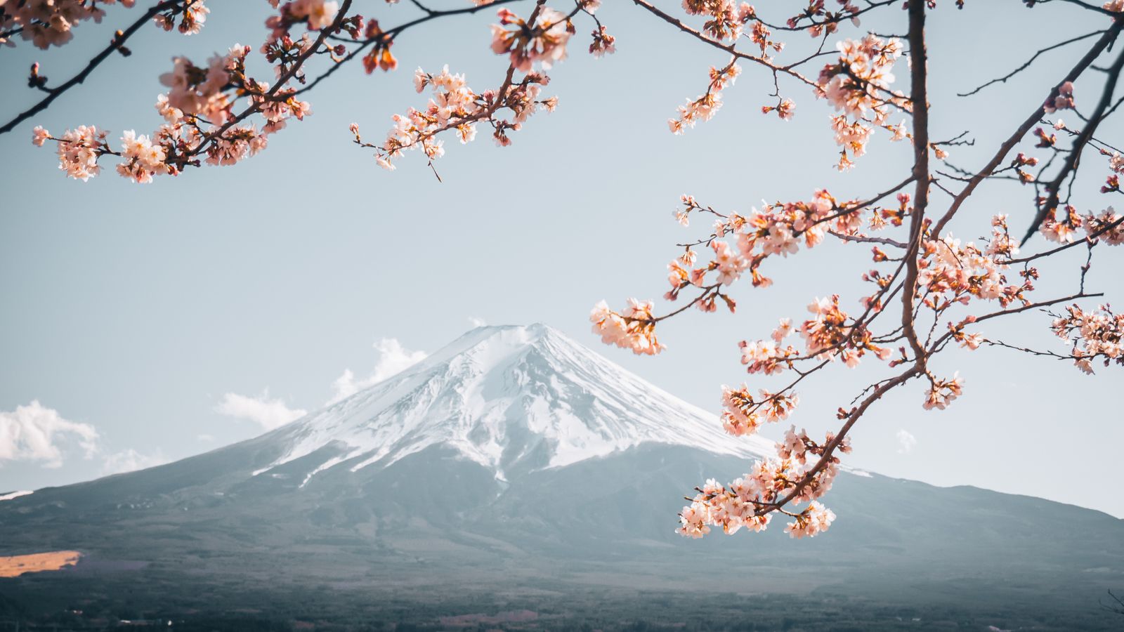 IRCTC introduces Japan tour package: All-inclusive 10-day trip starts at Rs 3.45 lakh