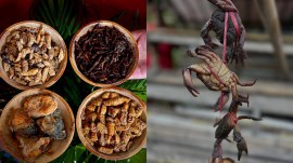 Nagaland food