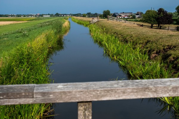 Netherlands Drought