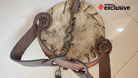 Leopard skins seized, Madhya Pradesh Leopard skins seized, Leopard skins seized from Madhya Pradesh, Madhya Pradesh State Tiger Task Force, Wildlife SOS, Delhi wildlife NGO nexus with poachers, Indian express news, current affairs