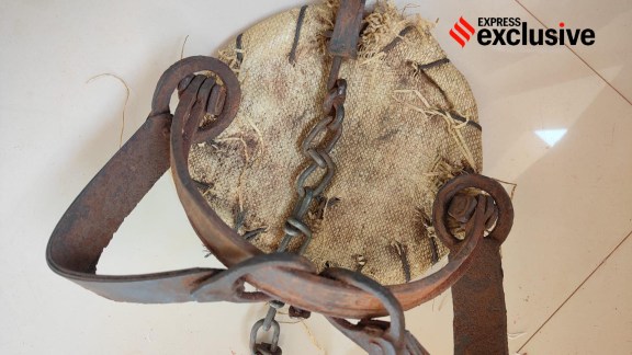Leopard skins seized, Madhya Pradesh Leopard skins seized, Leopard skins seized from Madhya Pradesh, Madhya Pradesh State Tiger Task Force, Wildlife SOS, Delhi wildlife NGO nexus with poachers, Indian express news, current affairs