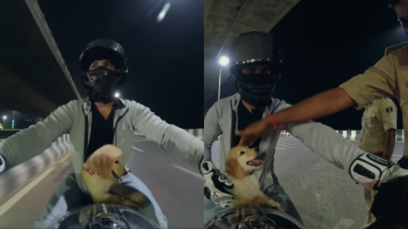 Bihar biker rides with puppy inside jacket; cop stops him but not for challan