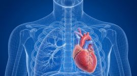 The patient was born with two rare heart defects. One, called dextrocardia, meant his heart developed on the right side of his chest instead of the left. (File photo)