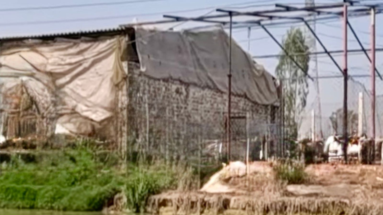 From village ponds to a farm where nothing goes to waste, generates lakhs in profit