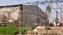 Photo – 2026-08-23T143040.968 Taggar began taking village ponds on lease for fish farming
