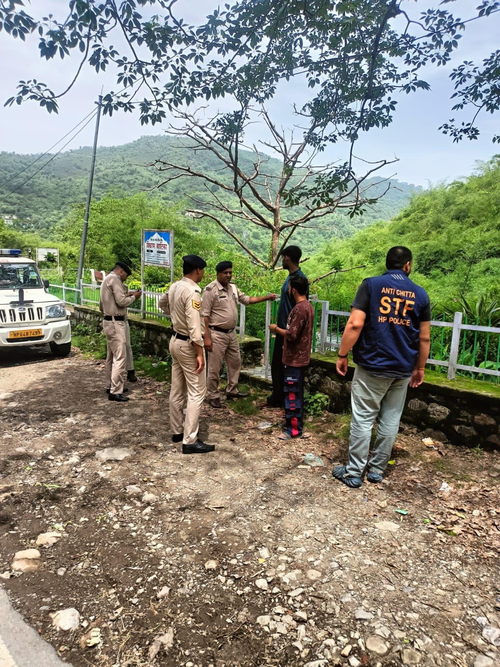 stf operation
