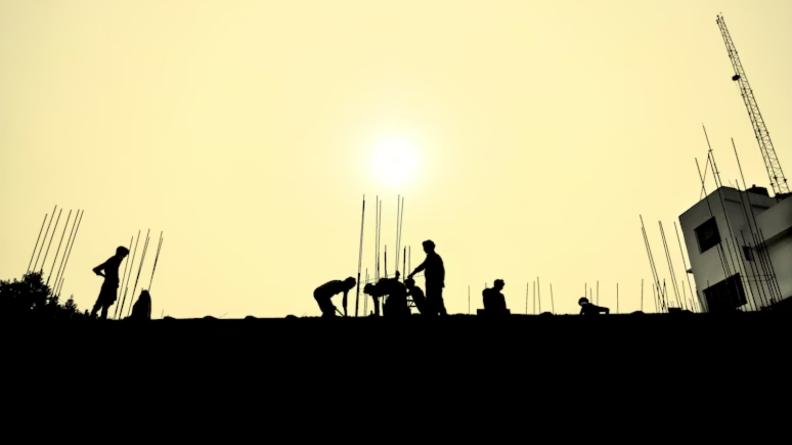 Labour Codes Require a Labour Box to Fulfil Their Promise