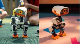 Microduck