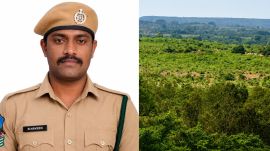 Naveen was searching for the traps when his leg got entangled on an 11 KV live wire in the forest area of Bhadradri Kothagudem district of Telangana. (Credit: Special Arrangement/Wikimedia Commons/Enhanced using AI)