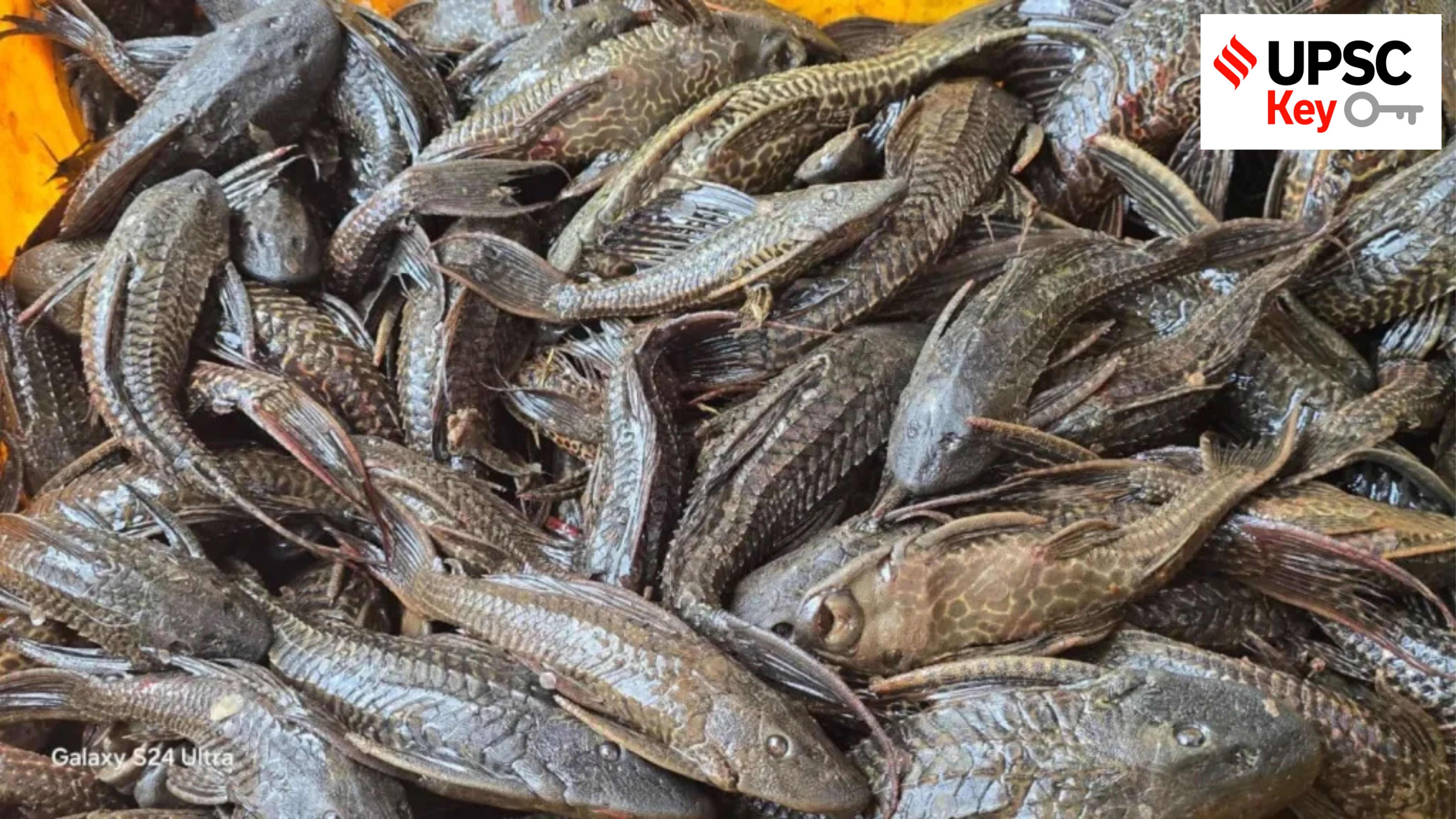 UPSC Key: VB-GRAMG, Invasive Alien Species and AI-Enabled Protein Engineering