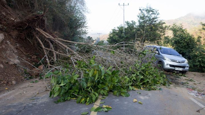 Indonesia Earthquake 