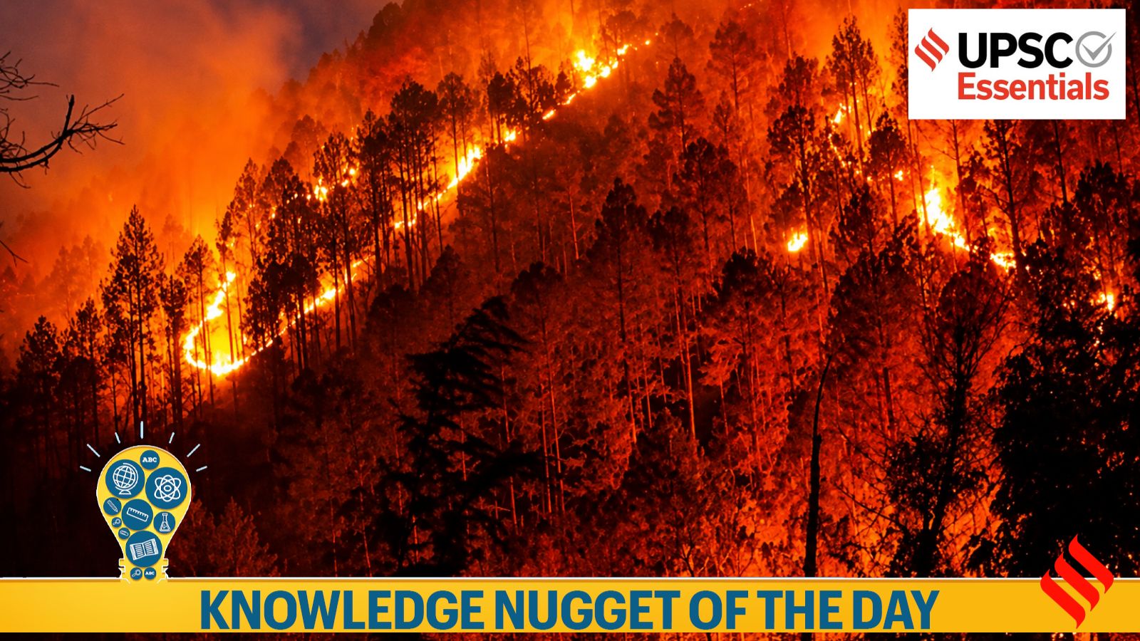 Knowledge Nugget | Forest fires — What Parliamentary committee flags and what more you should know