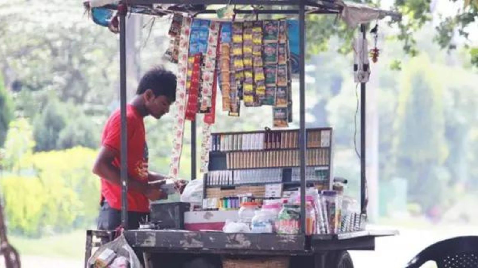 Karnataka bans sale of gutka, pan masala and some tobacco products for one year