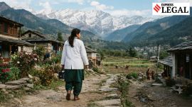 Himachal Pradesh High Court surrogacy maternity leave