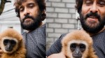 Lar Gibbon controversy