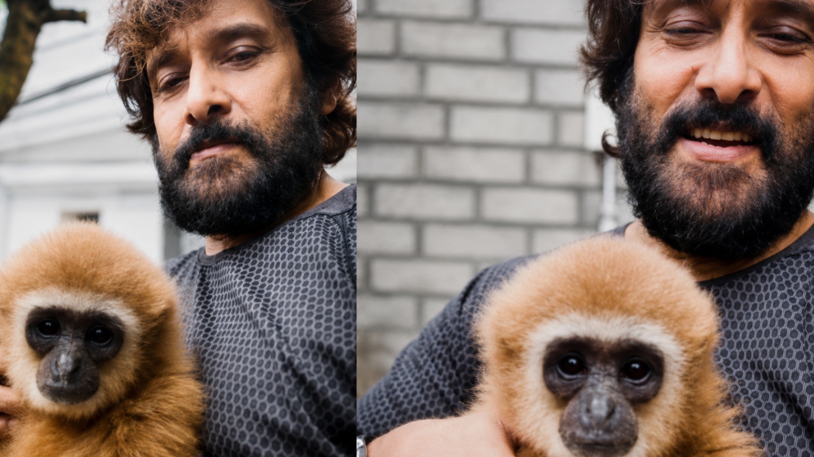 Tamil Nadu to Manipur to Malaysia: Vikram’s viral Lar Gibbon video leads forest dept down a long trail