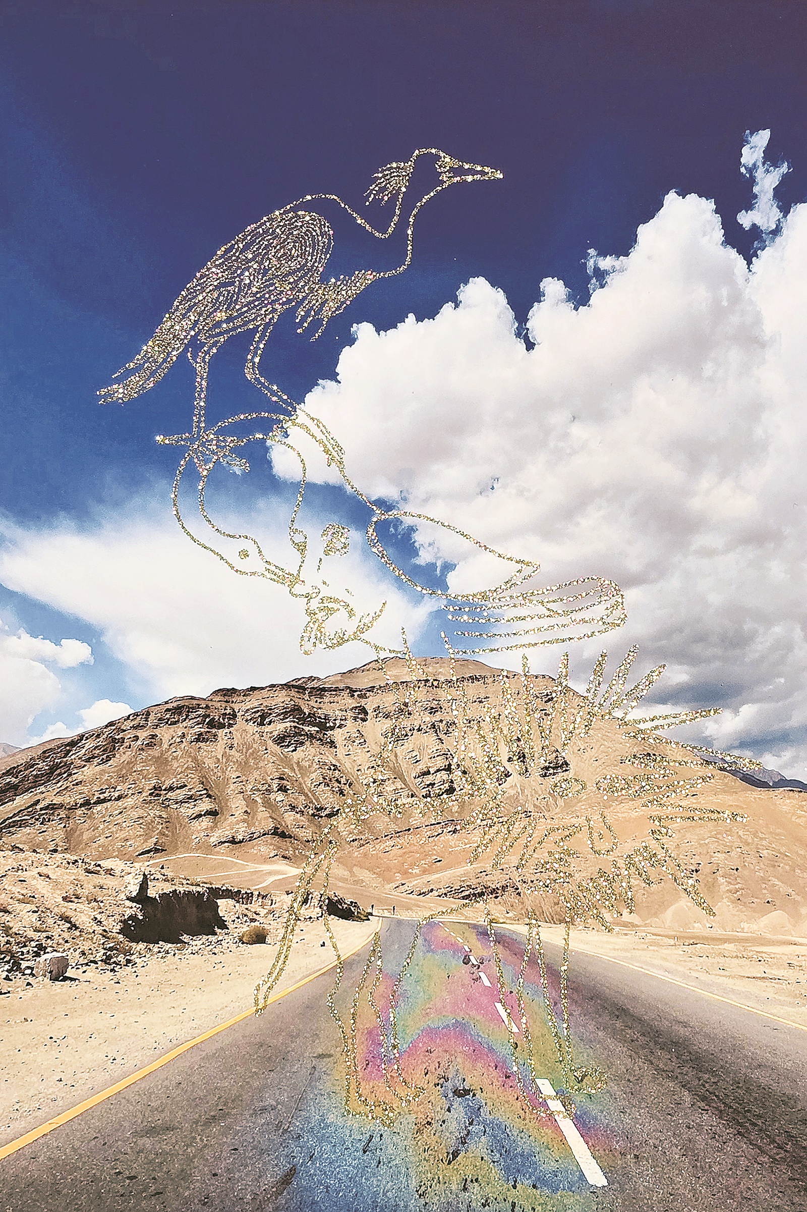 The Wayfarer Series by Raqs Media Collective.