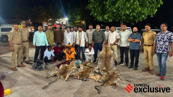 Last month’s Agra seizure of 20 skins now under scrutiny. Photo courtesy Wildlife SOS