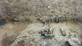 How a skeleton unearthed 70 years ago could reveal Varanasi’s past