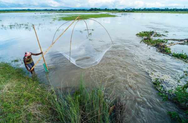 assam floods