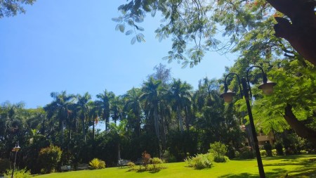 aundh society