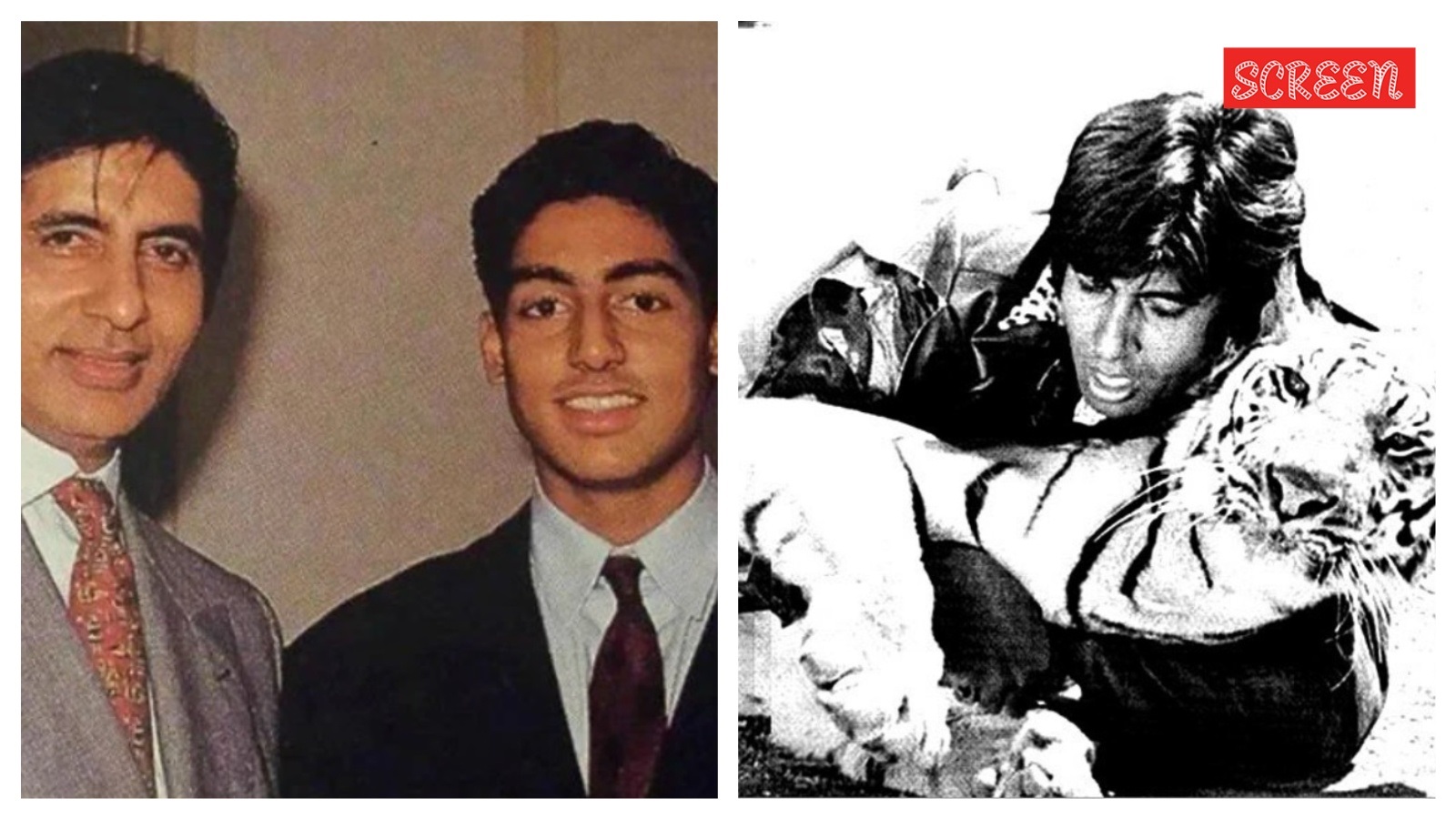 'Mere ghar pe ek sher paida hua hai': Abhishek's birth inspired Amitabh to fight tiger on set