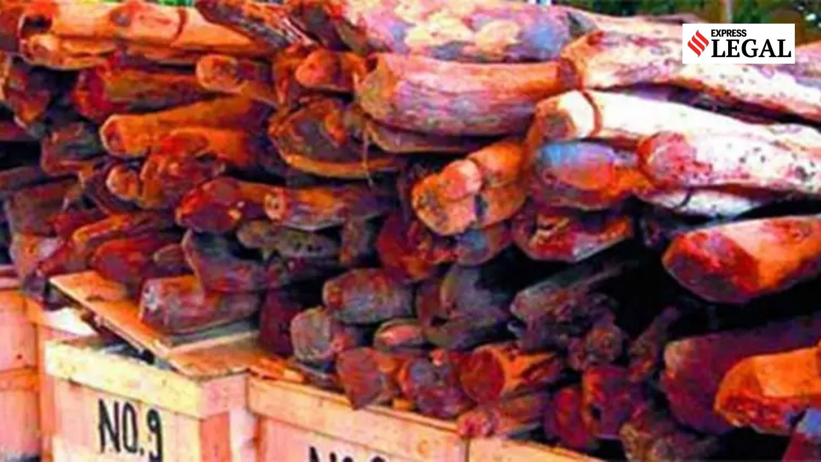 1 tonne red sanders ‘caught’ before export, high court revokes customs broker’s licence