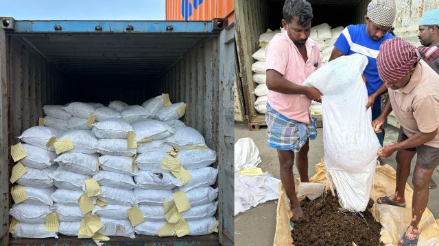 Government agency seizes Pakistan-origin dry dates imports worth Rs 3 crore  misdeclared from UAE | Business News - The Indian Express