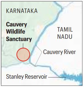 Cauvery wildlife sanctuary: Protests on, forest officials booked for murder of three