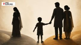 child custody Chhattisgarh High Court step mother