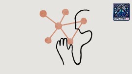 Anthropic said the occupational mix of Indian Claude AI use, inferred by mapping tasks to related occupations, skews towards software development and engineering roles.