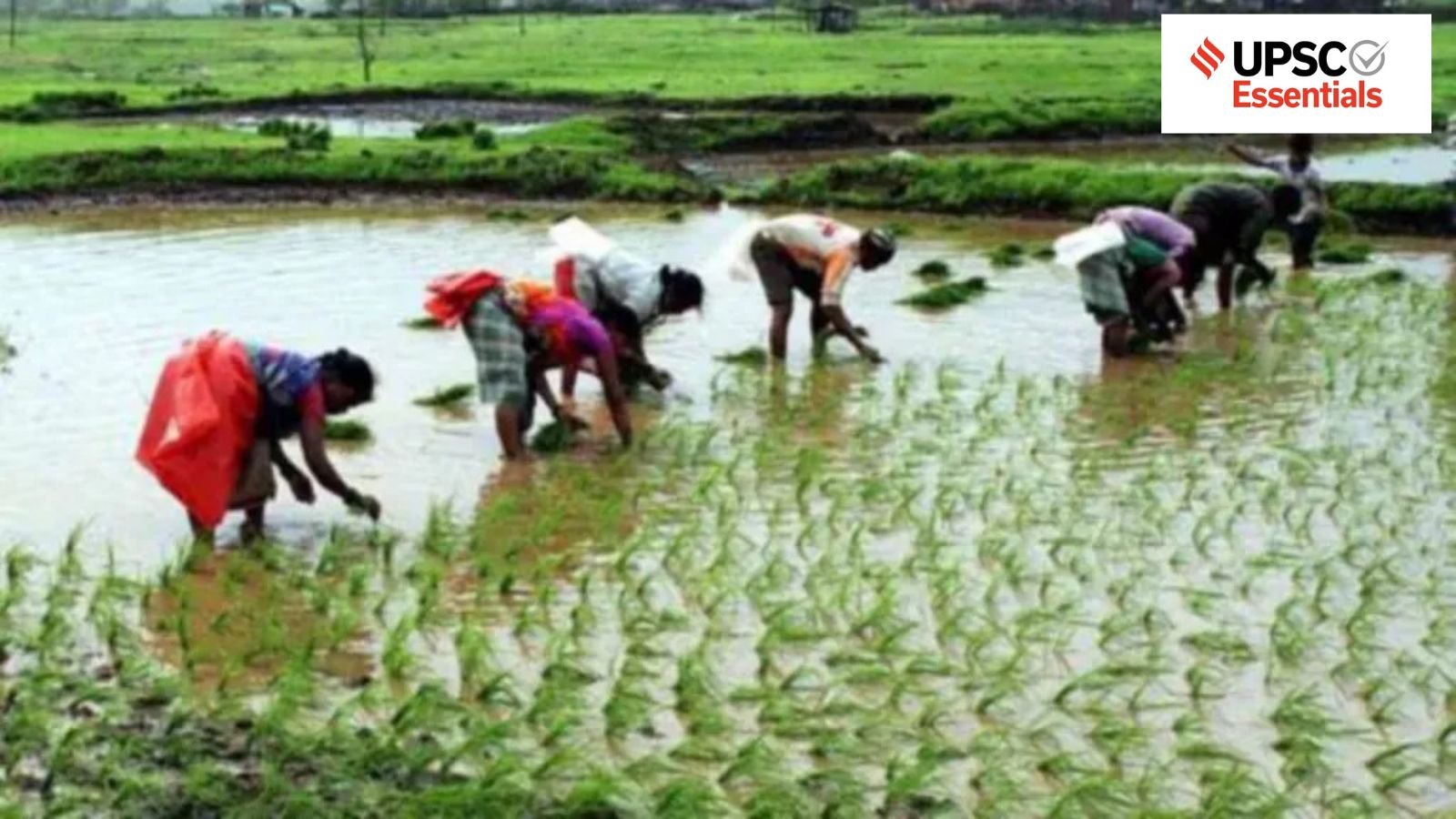 How nature-based solutions can make agriculture more resilient to climate change