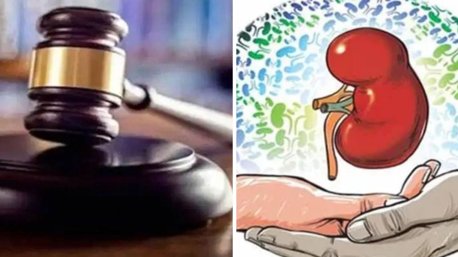 High Court asks Karnataka to frame policy on altruistic organ donation