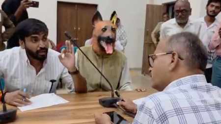 stray dog protest