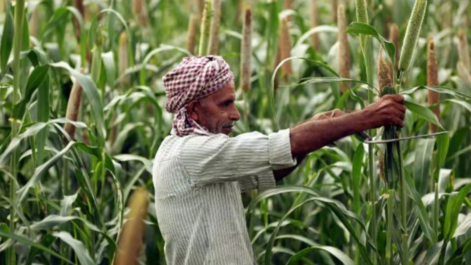Punjab Assembly's anti-E20 stand finds little resonance among farmer groups