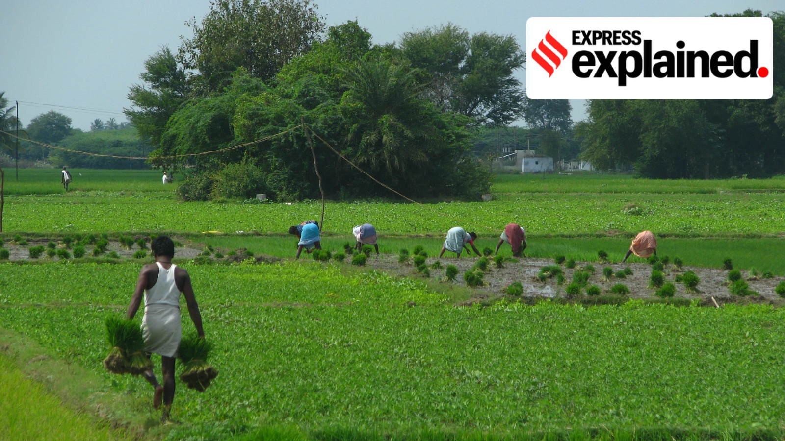 How Tamil Nadu's agriculture budget aims to enhance farmers' choices