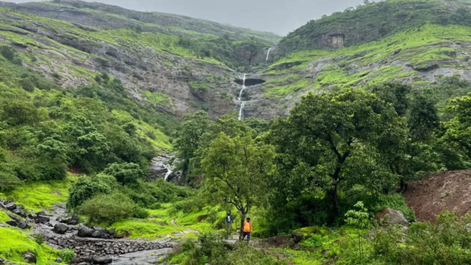 Maharashtra clears 83,700 sq ft forest land for 2 Adani Group projects
