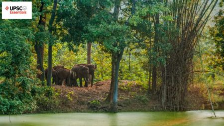 UPSC Essentials daily subject quiz : Environment and Geography