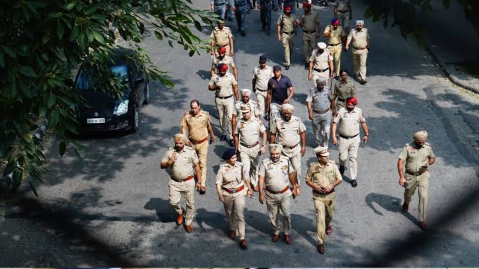 Punjab and Haryana High Court Seeks Report on Organized Gang Activities in Haryana Districts
