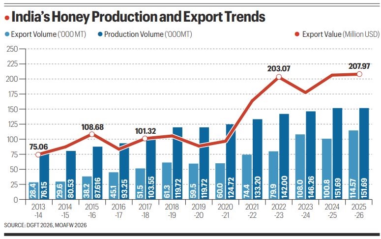  India’s sweet revolution depends on this: Safeguard the bee, sustainability is key