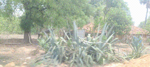 Around the block in Kondapalli village