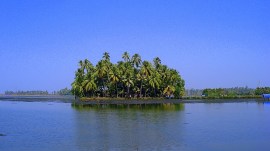 Kumbalangi village