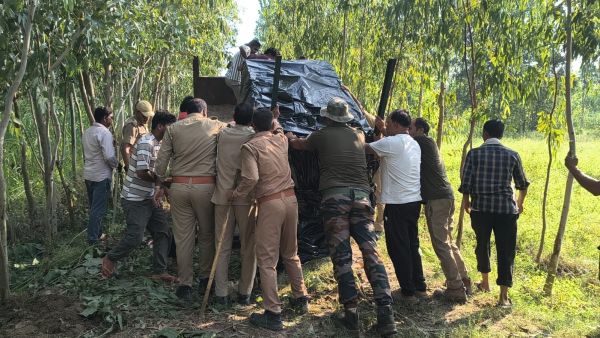 Leopards of UP